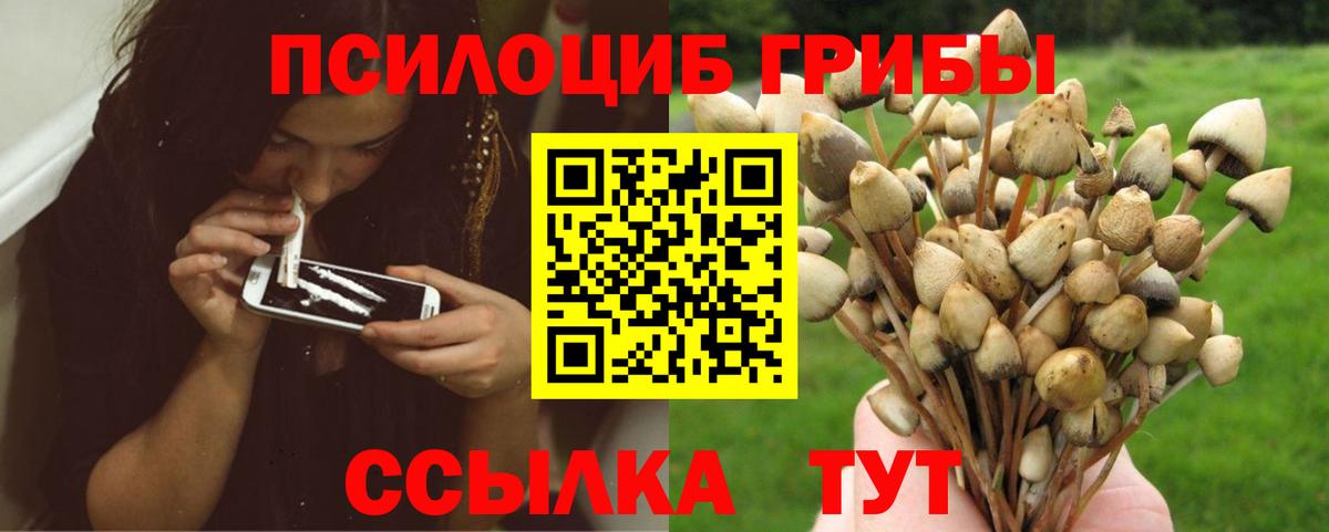 Галлюциногенные грибы Magic Shrooms  Галлюциногенные грибы ЛСД  Скопин  закладки  Вход с VPN 